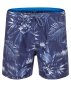 Preview: Brunotti - Tropic Men Shorts