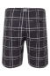 Preview: O'Neill - Checker Shorts