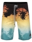 Preview: O'Neill - Tropicool Boardies