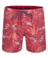 Preview: Brunotti - Tropic Men Shorts
