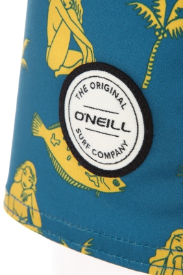 O'Neill - Thirst for Surf Shorts