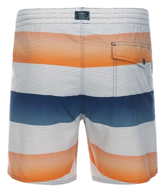 O'Neill - Santa Cruz Stripe Shorts