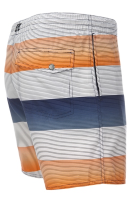 O'Neill - Santa Cruz Stripe Shorts