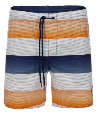 O'Neill - Santa Cruz Stripe Shorts