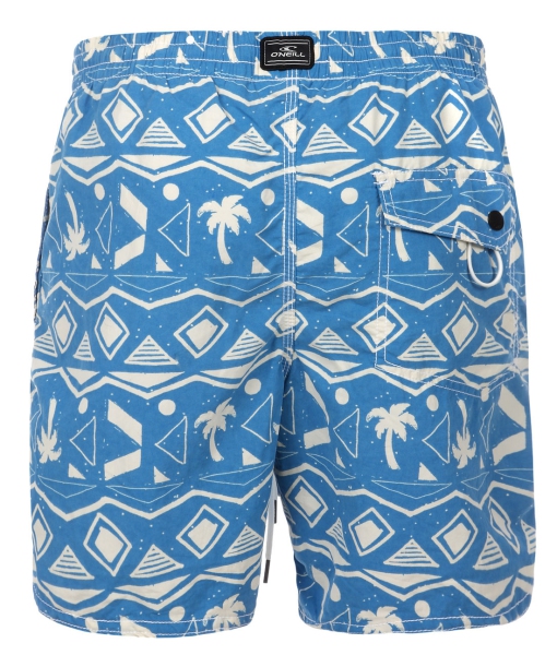 O'Neill - Thirst for Surf Shorts