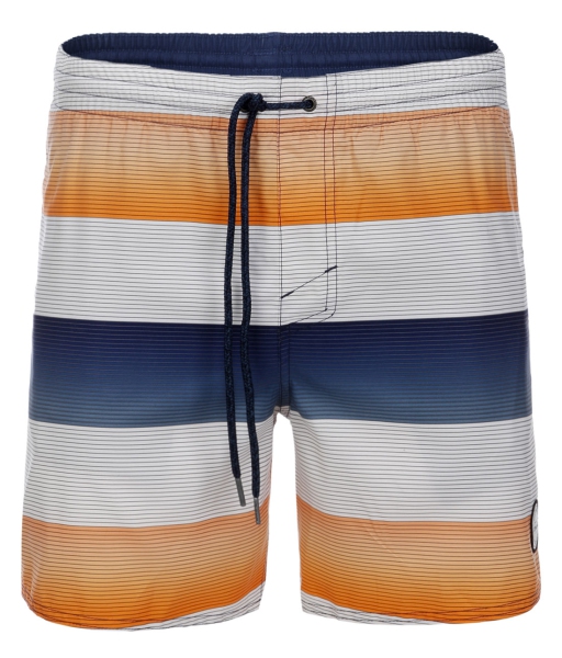 O'Neill - Santa Cruz Stripe Shorts