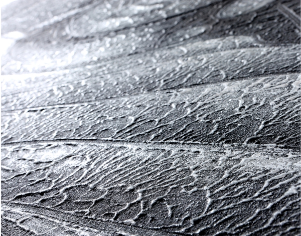Restru Art - Silver Shining Budha